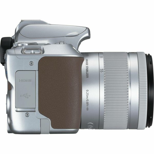 Canon EOS 250D With EF-S 18-55mm STM Silver